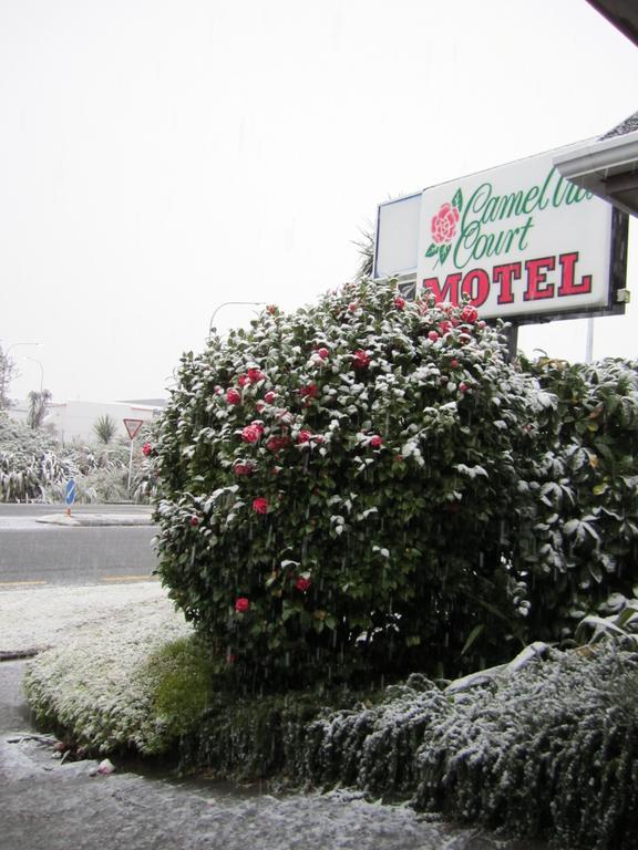 Camellia Court Motel Lower Hutt Bagian luar foto