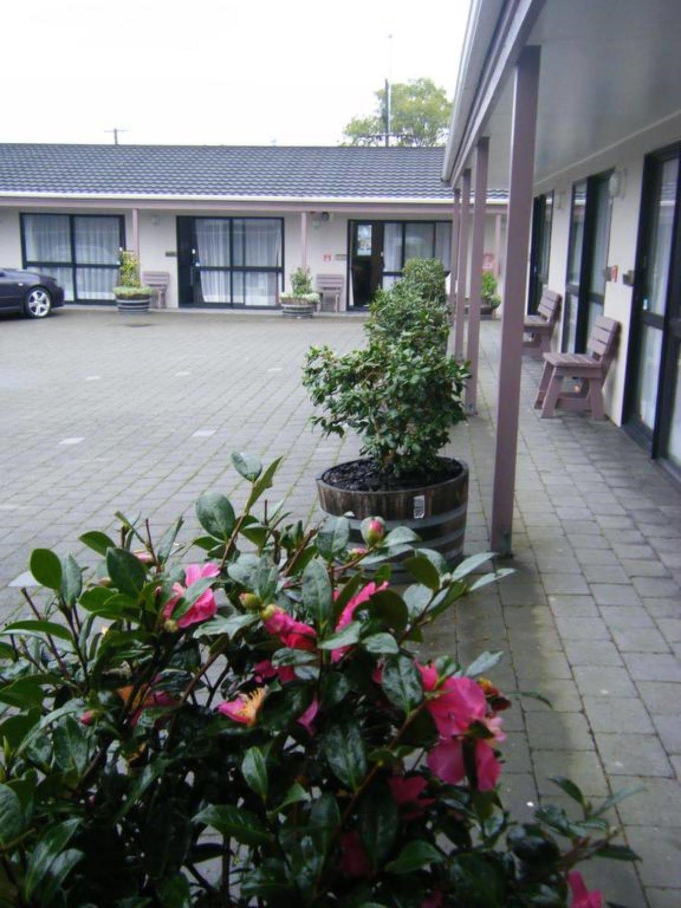 Camellia Court Motel Lower Hutt Bagian luar foto